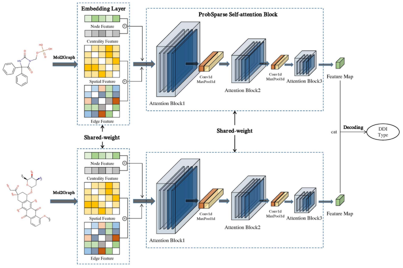 Molormer Framework