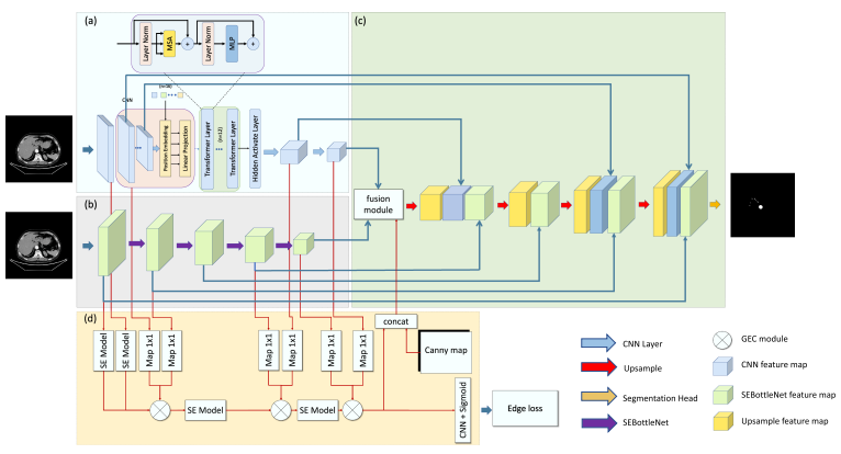 TransFusionNet Framework